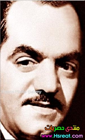 10099_mohamed-abd-el-motteleb-_18078.jpg