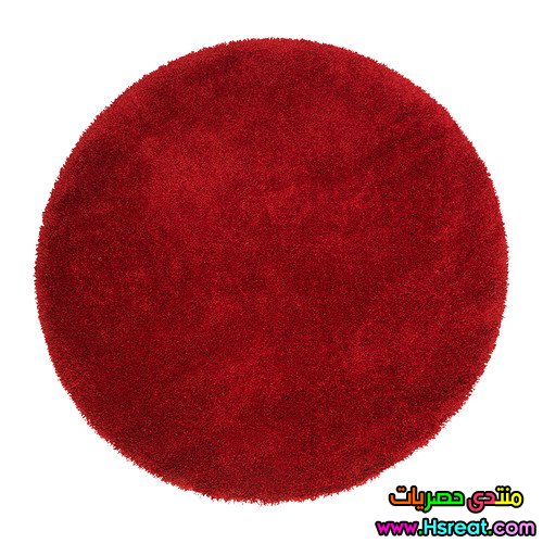 101.JPG