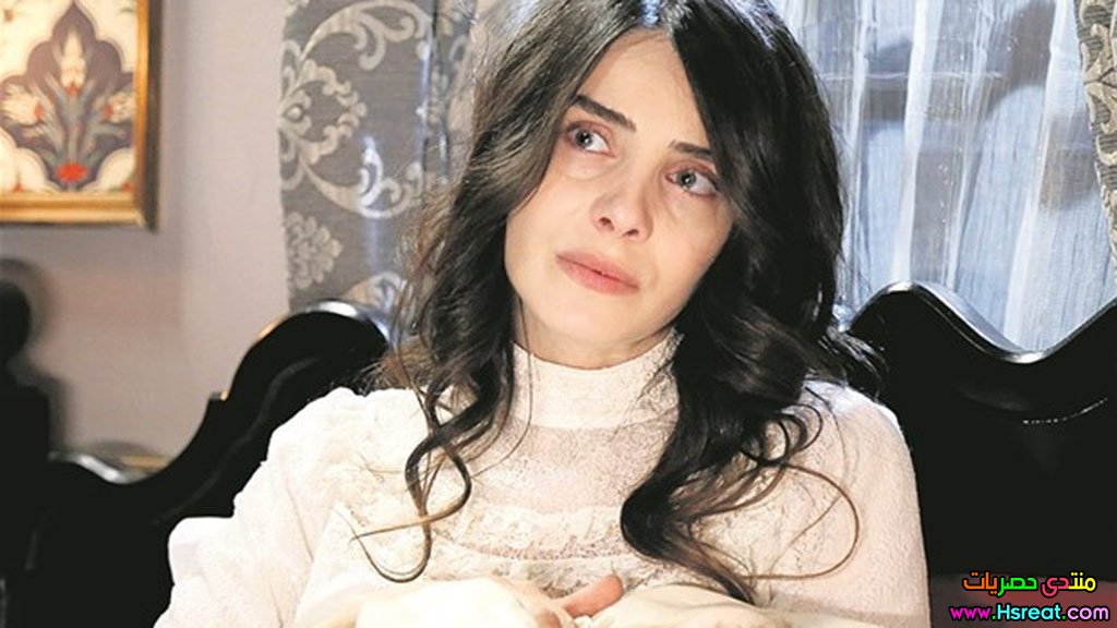 106.jpg
