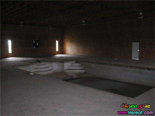 113.jpg