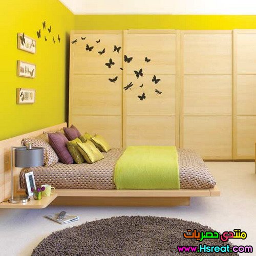 113.jpg