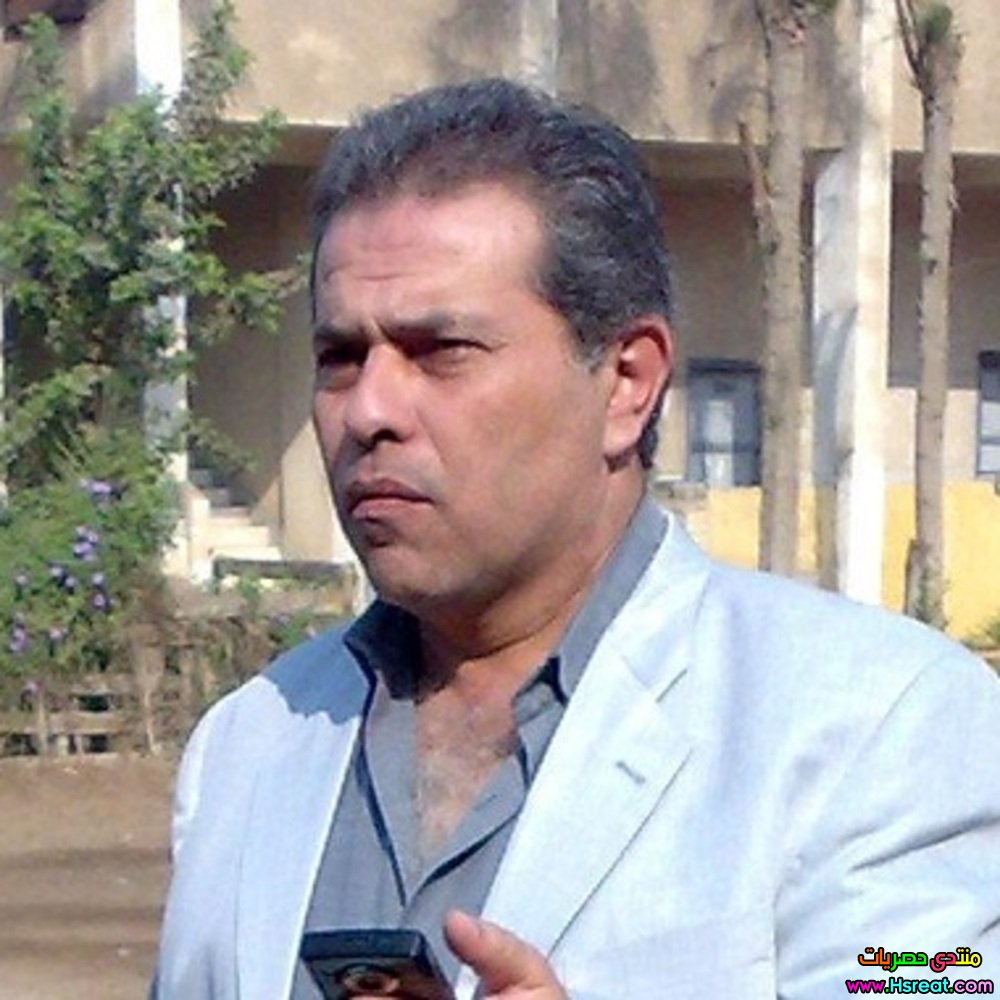 113.jpg