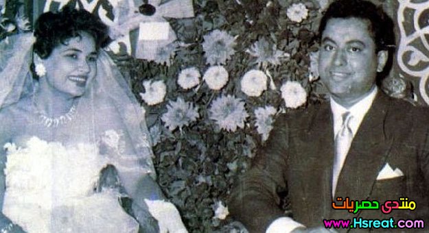 263529_dreambox-sat.com.jpg
