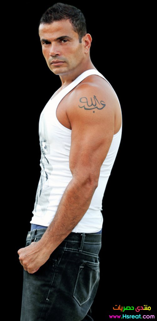 amr-diab-20-2432-2506254.jpg