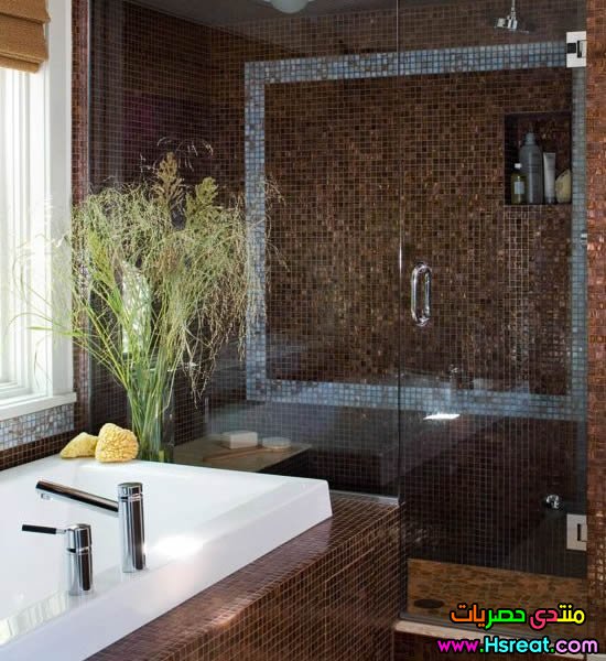 Chocolate-Brown-Blue-Bathroom1.jpg