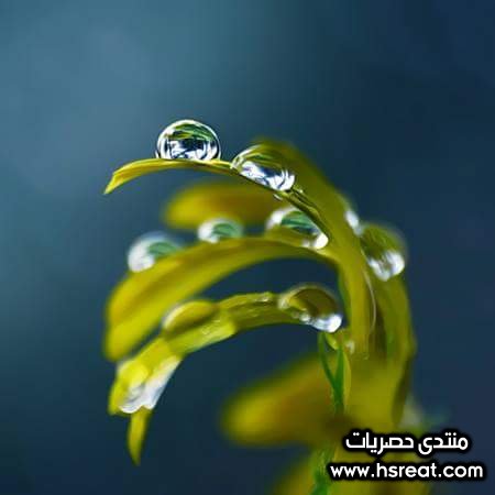 FB_IMG_1430106695110.jpg