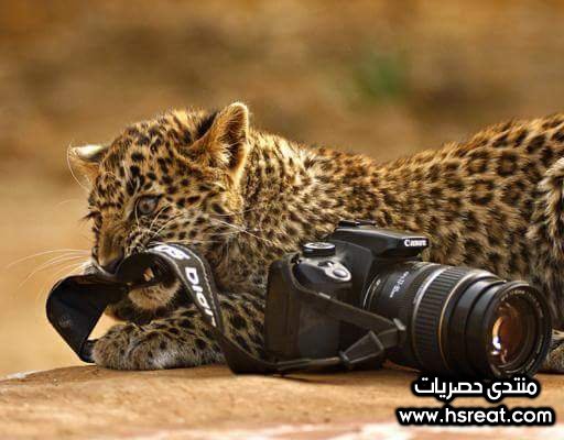 FB_IMG_1430106745412.jpg