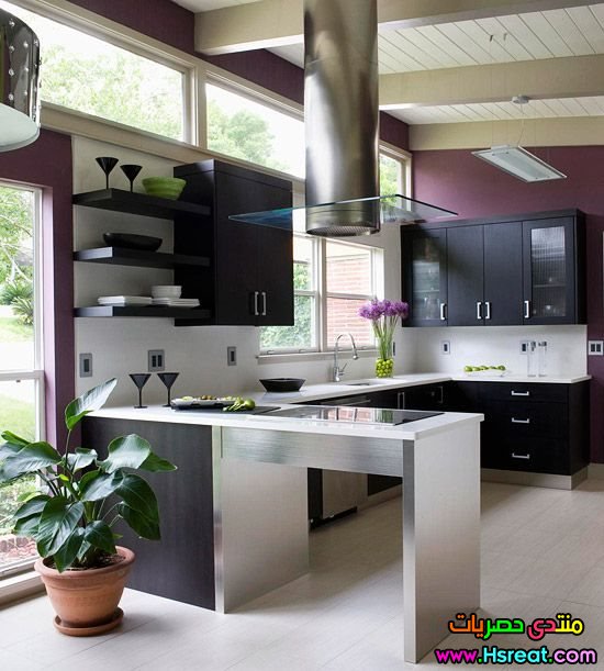 purple5.jpg-550x0.jpg