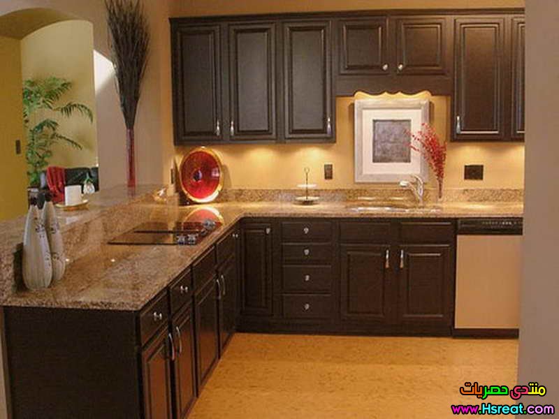 Small-Kitchen-Brown-Cabinet.jpg