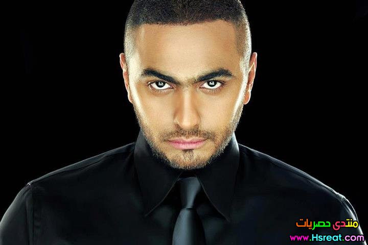 tamer-hosne29-1-2014.jpg