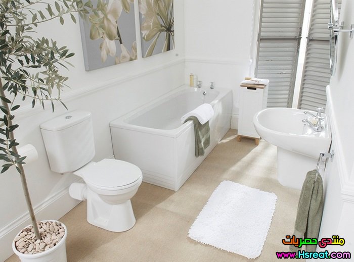 White-Bathroom.jpg